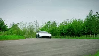 An overgrown garden path.