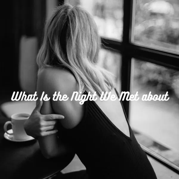 night we met, what is the night we met about