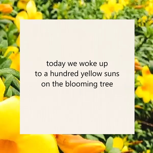 Haiku Poems About Love - Latrespace - Where Words Bloom into Poetry