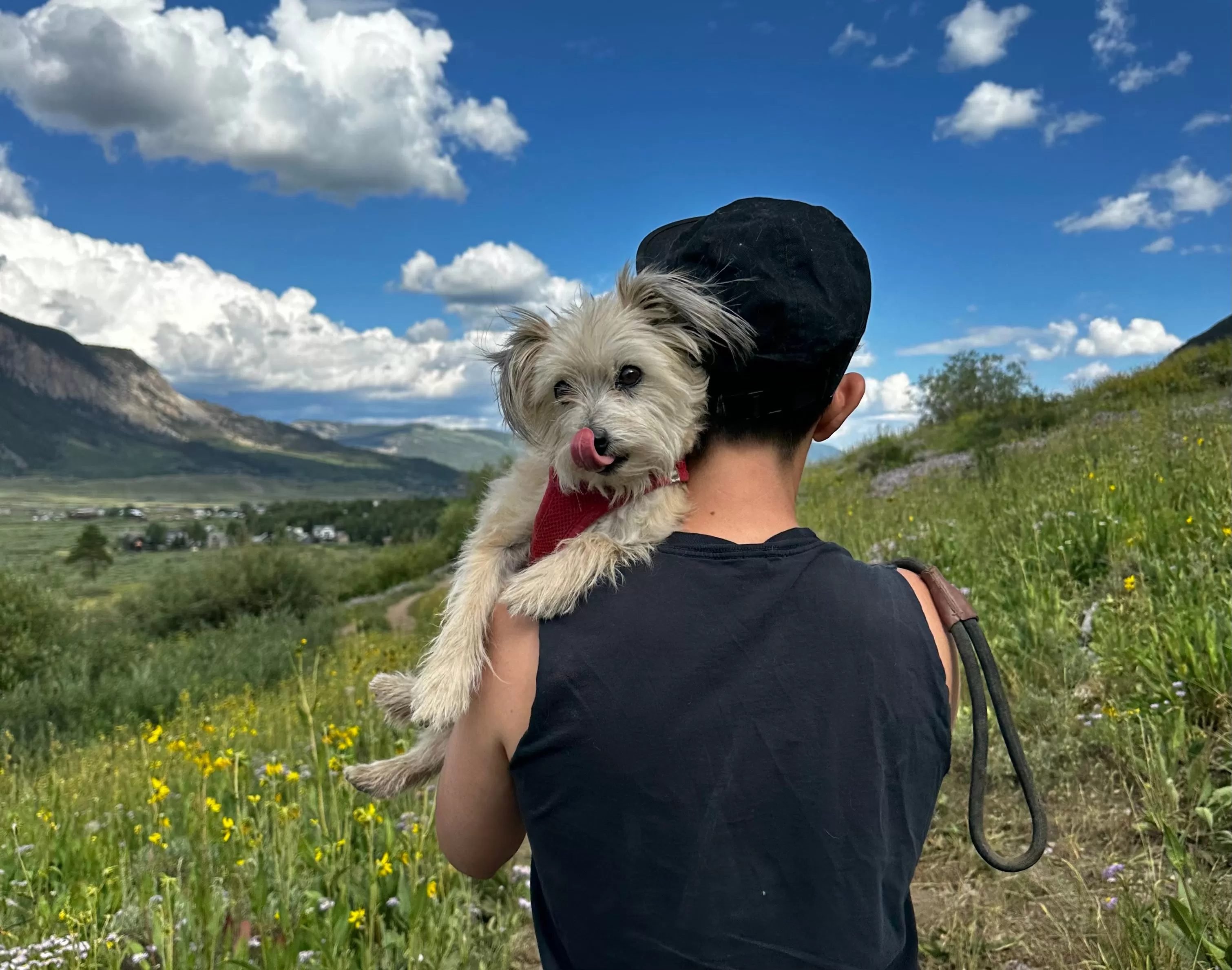 Andrea Gibson in the summer of 2024, wearing a black cap and black sleeveless shirt is walking through a lush green meadow with yellow wildflowers, carrying a small fluffy dog on their shoulder. Squash Gibson, wearing a red harness, has her tongue out playfully. The backdrop features rolling hills, mountains, and a bright blue sky with fluffy white clouds.