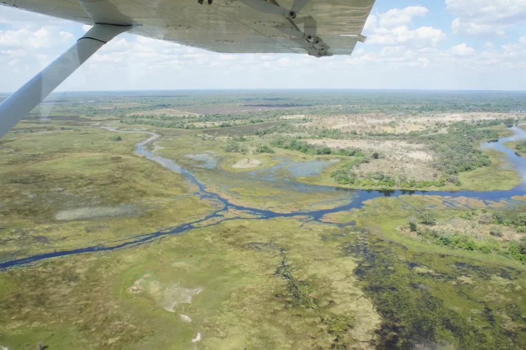 Aerial view of winding water channels in the Okavango Delta, a landscape i shall never forget.
