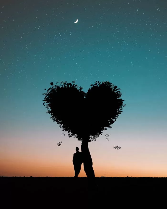 Silhouette of Man under tree shaped like heart with twilit background